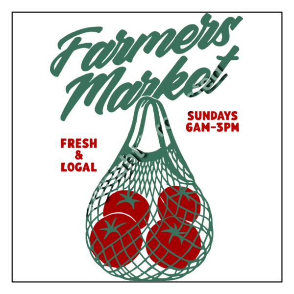 Full Color Transfer 11x11" Adult Full Front Thumbnail